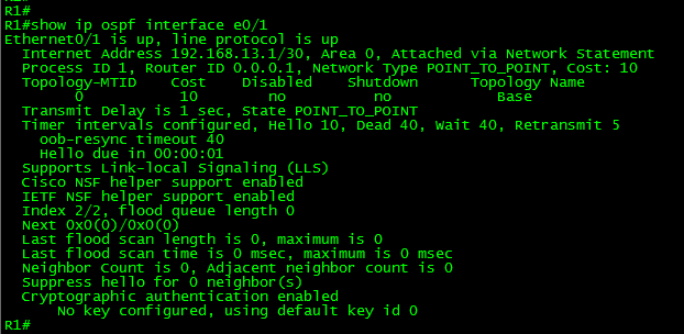 OSPF-NULL-show-ospf-if-e0-1