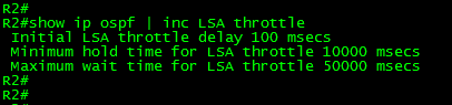 OSPF-LSA-THROTTLING-06